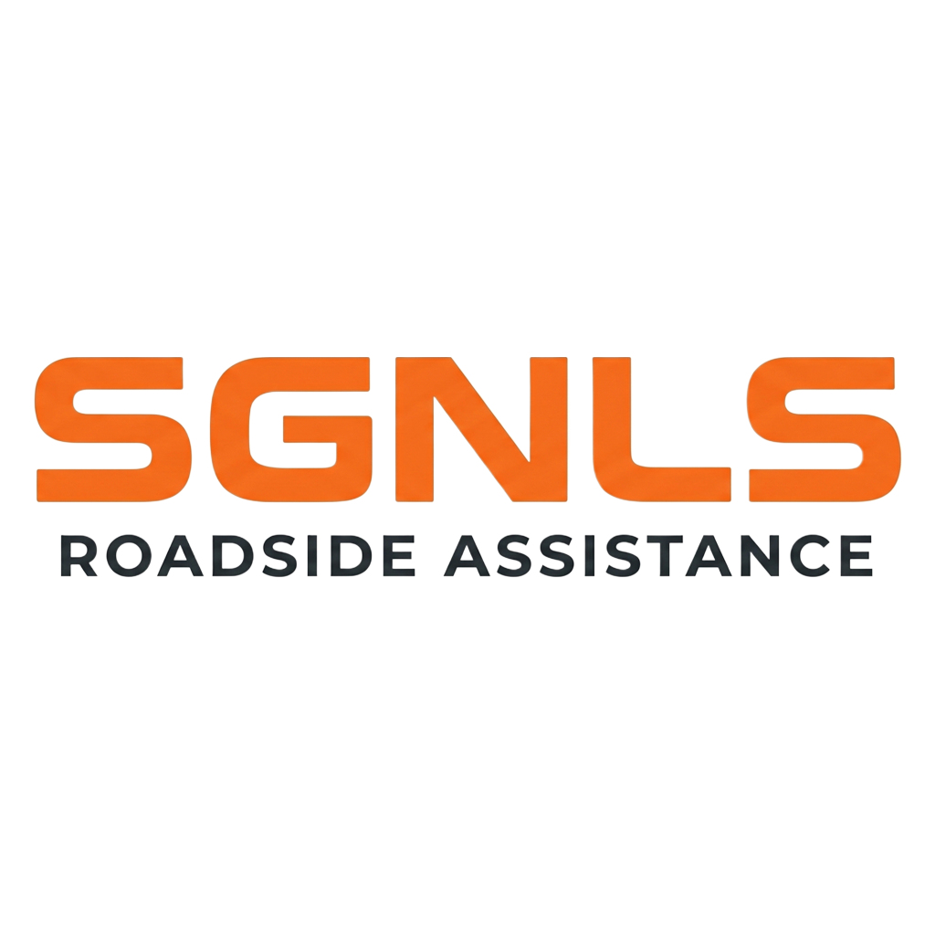 SGNLS Square Logo